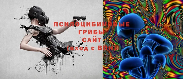 мяу мяу мука Баксан