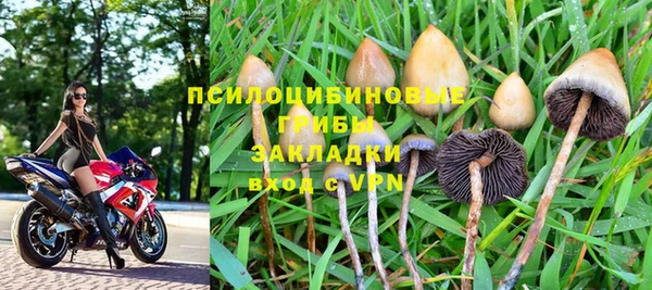 мяу мяу мука Баксан