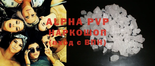 мяу мяу мука Баксан