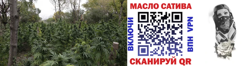 OMG онион  Лесной  Дистиллят ТГК концентрат 