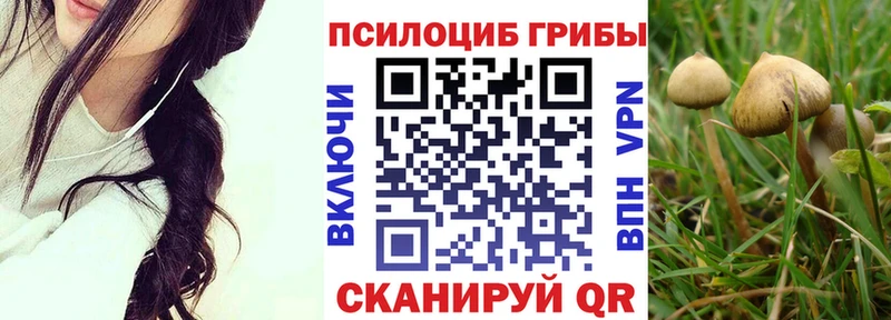 Галлюциногенные грибы прущие грибы  Лесной 